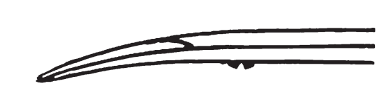 e6ab27d4746f6e07cab1593d2c666be6_1584844198_4441.png