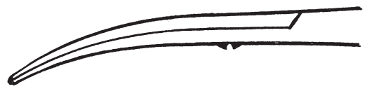 e6ab27d4746f6e07cab1593d2c666be6_1584844691_3335.png